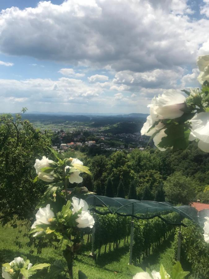 Kuca Za Odmor Magdalena&V Apartment Крапина Екстериор снимка
